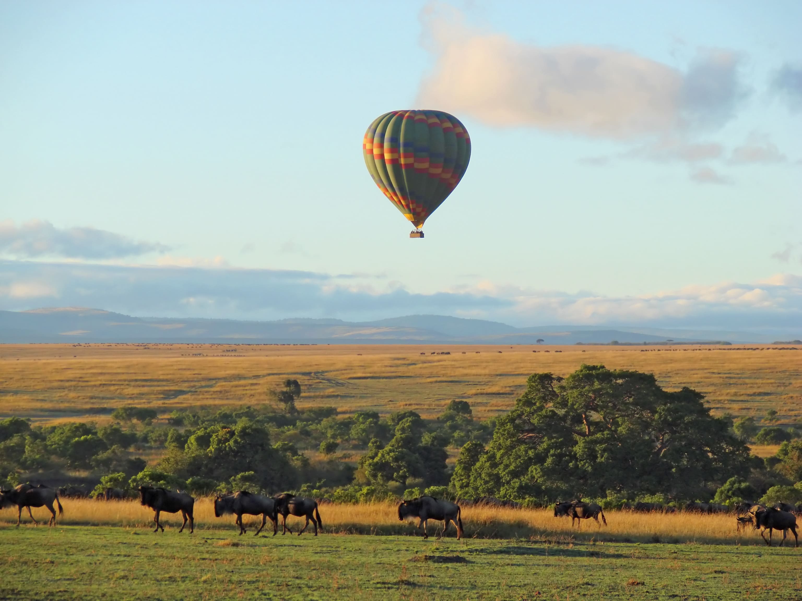 Africa’s Heritage