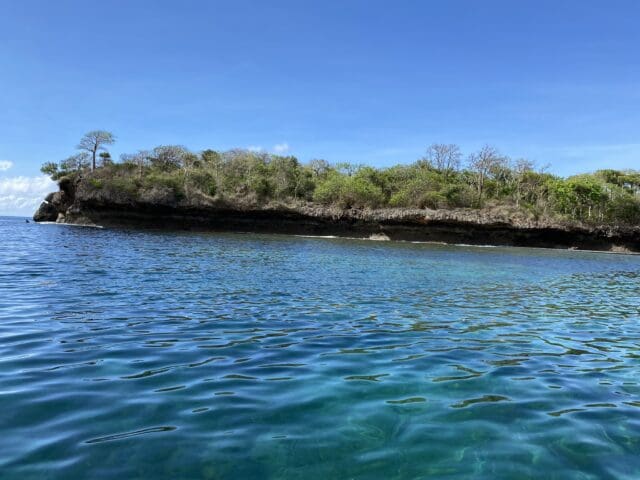 Barrier Reef at Kisite Mpunguti - Top Things To Do In Diani