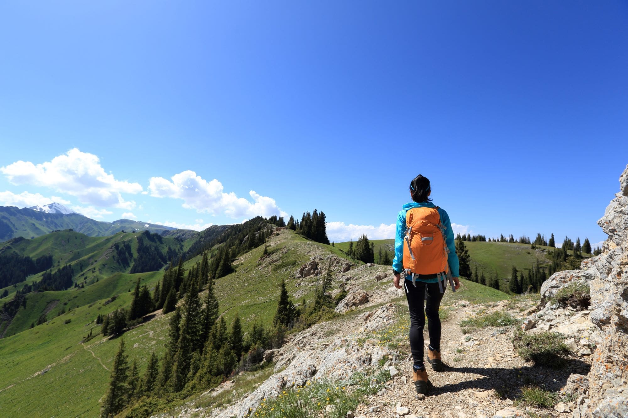 Hiking Essentials For a Day On The Trail