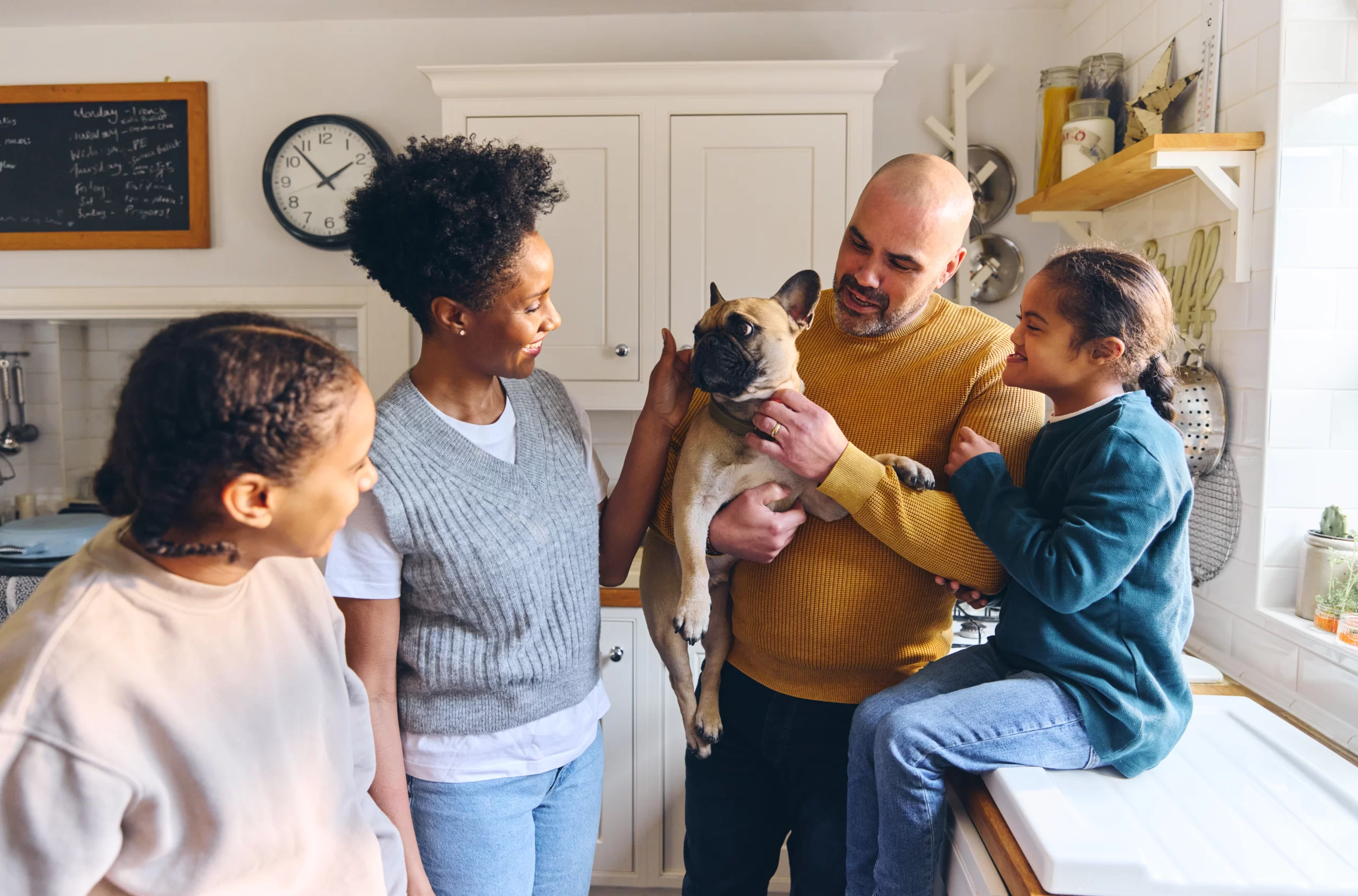 12 Essential Tips for First Time Pet Owners