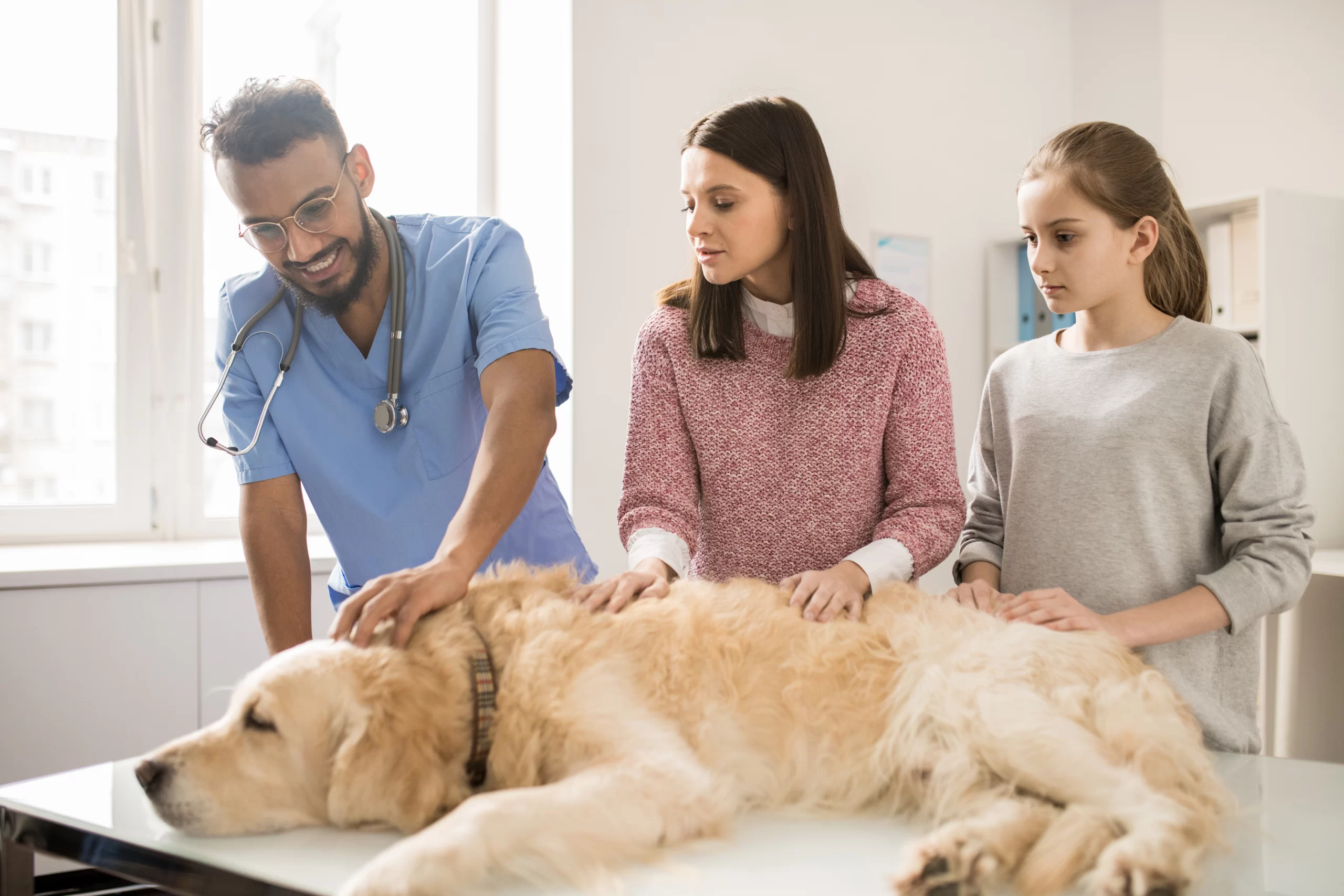12 Affordable Pet Care Tips to Save on Pet Expenses
