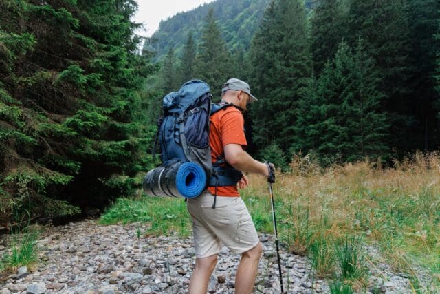 Backpacker-with-pole-walking-in-mountains