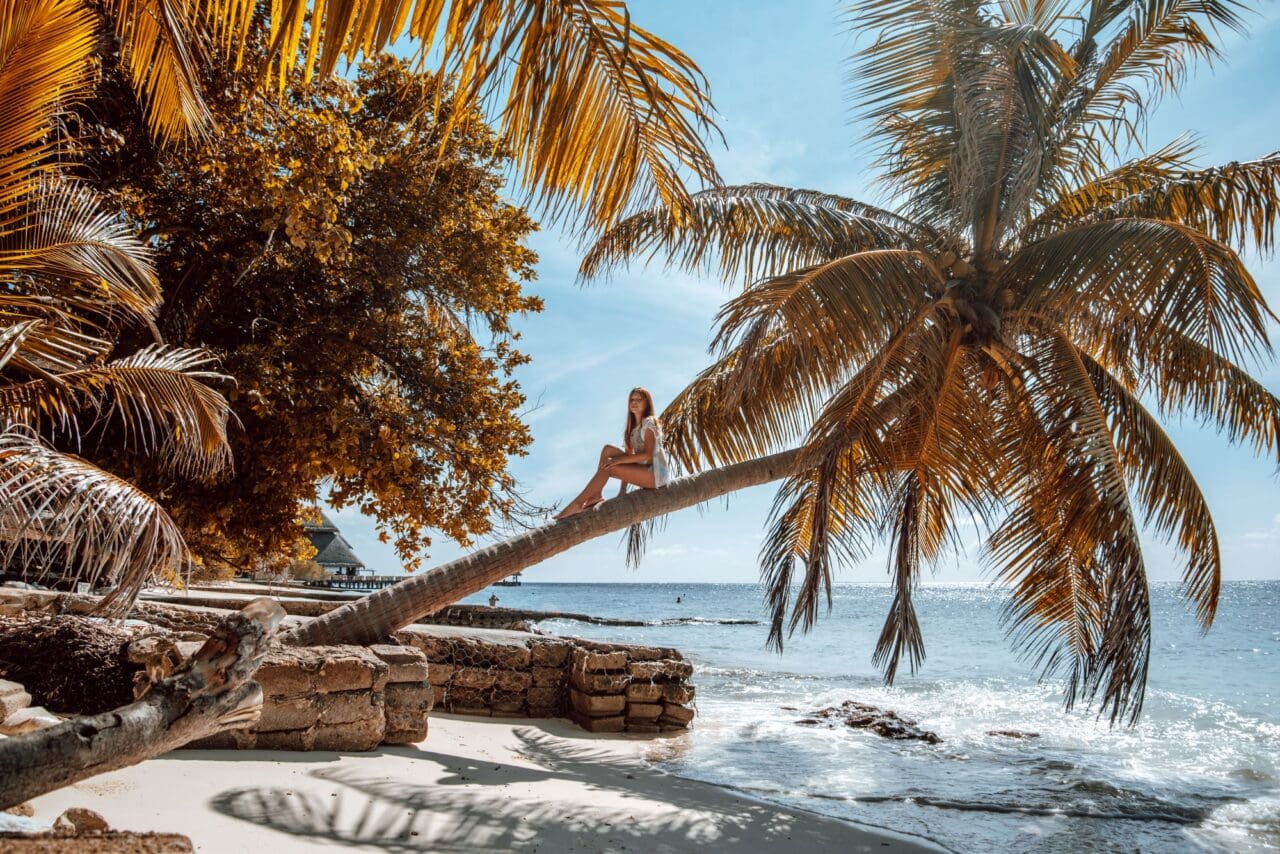 tropical-maldives-palms-and-beach