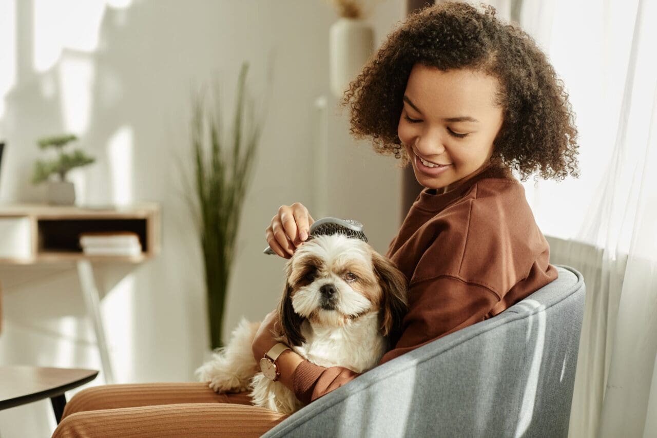 Black girl brushing pet dog enjoying time together at home lit by sunlight