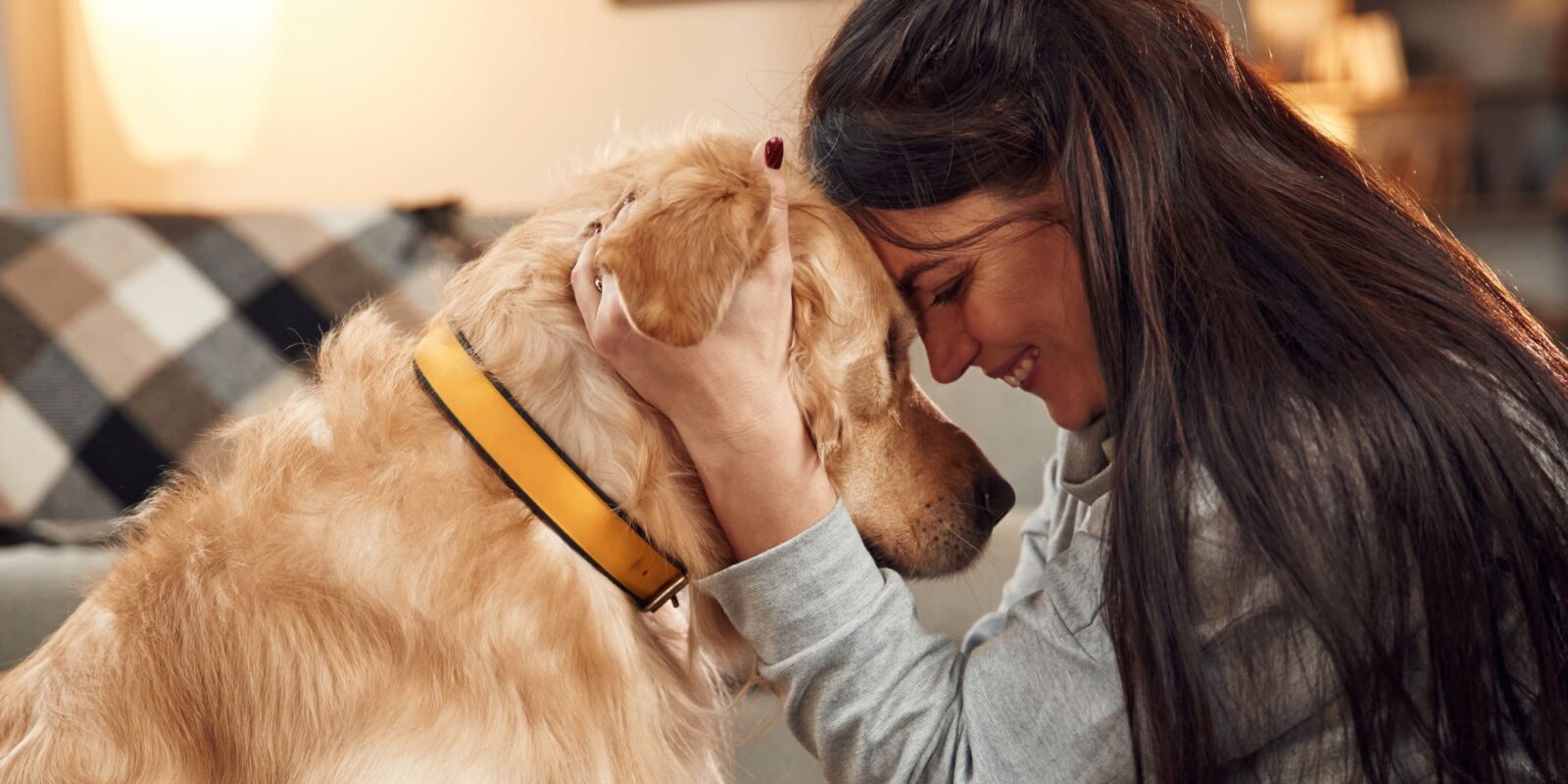 Woman is with golden retriever dog at home-Emotional Support Dog Breeds