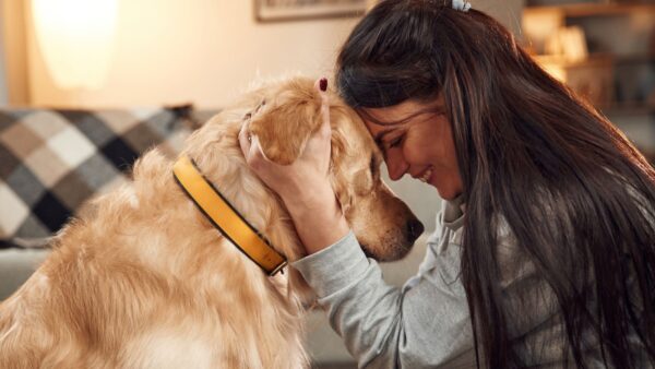 Woman is with golden retriever dog at home-Emotional Support Dog Breeds