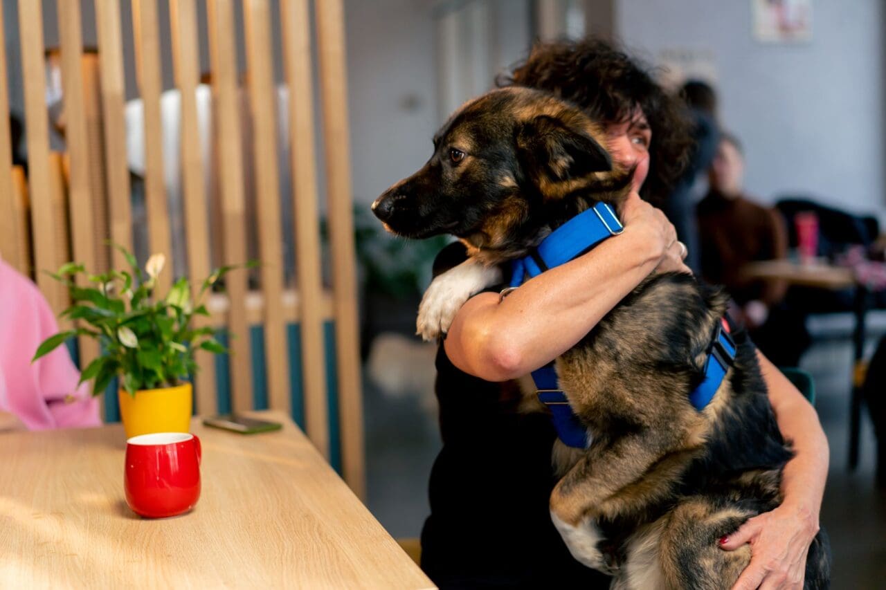 a dog already in the arms of his owner