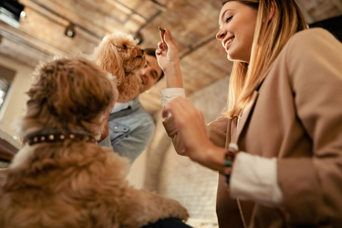 10 Low Maintenance Dogs for Busy Lifestyles: Ideal Companions for Active People